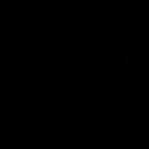 Meet your Posher, 24